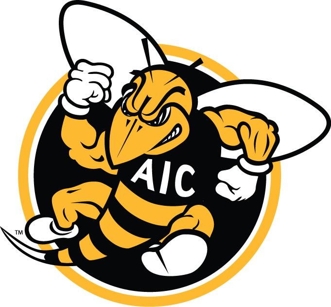 AIC Yellow Jackets 2009-Pres Alternate Logo v2 DIY iron on transfer (heat transfer)